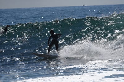 DSC_0945.JPG