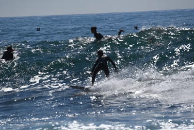 DSC_0946.JPG