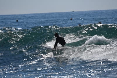 DSC_0948.JPG