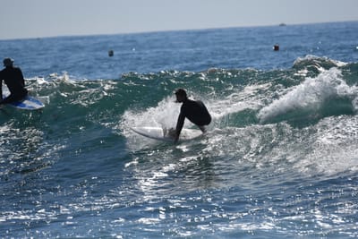 DSC_0949.JPG