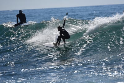 DSC_0951.JPG