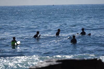 DSC_0964.JPG