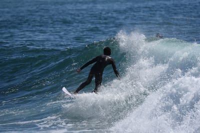 DSC_1016.JPG