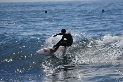 DSC_1049.JPG