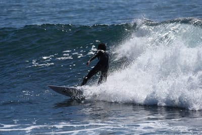 DSC_1106.JPG