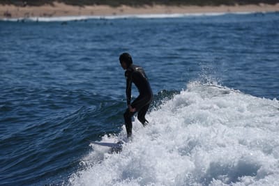 DSC_1117.JPG