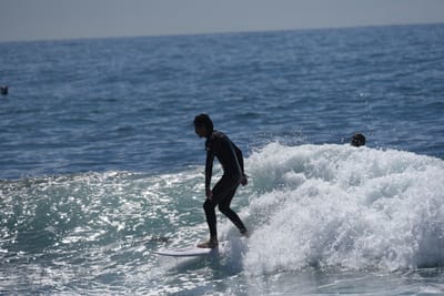 DSC_1146.JPG