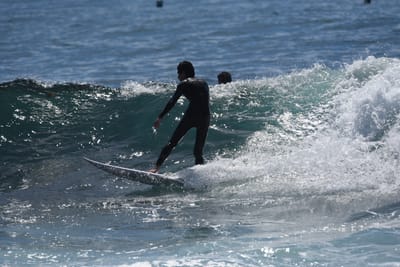 DSC_1148.JPG