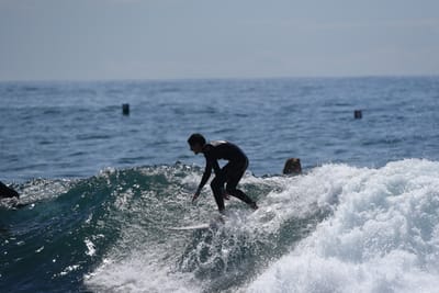 DSC_1206.JPG