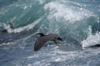 DSC_1226.JPG