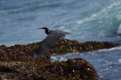 DSC_1227.JPG