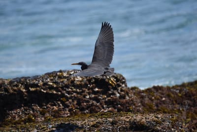 DSC_1228.JPG