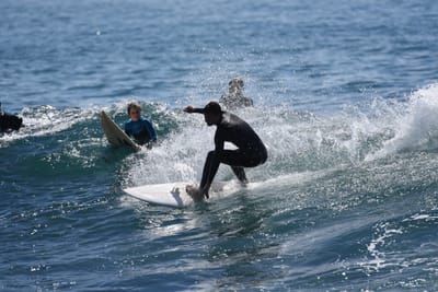 DSC_1250.JPG