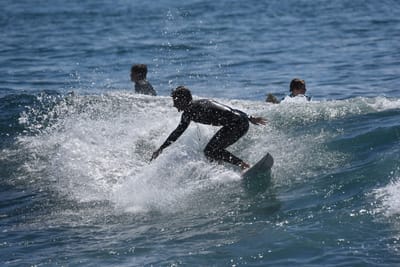 DSC_1255.JPG