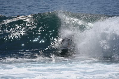 DSC_1270.JPG