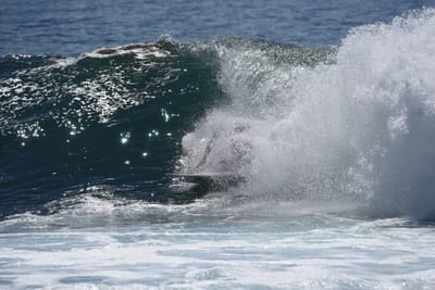DSC_1271.JPG