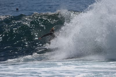 DSC_1272.JPG