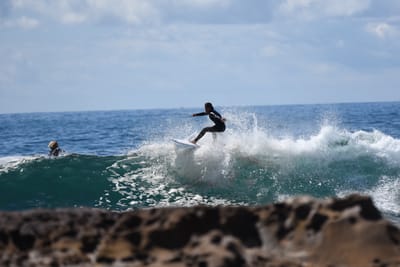 DSC_1297.JPG