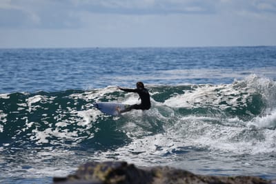 DSC_1301.JPG