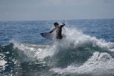 DSC_1316.JPG