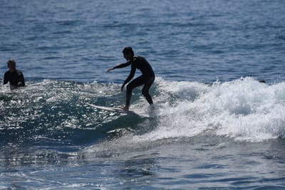DSC_1319.JPG