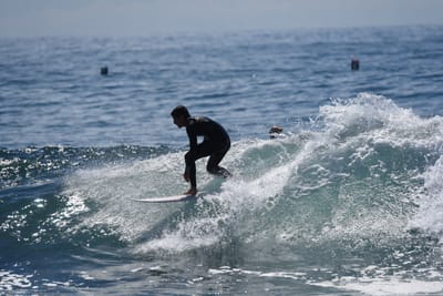 DSC_1376.JPG