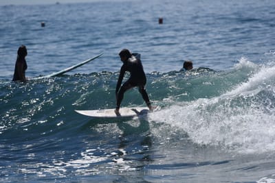 DSC_1379.JPG