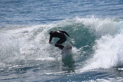 DSC_1385.JPG