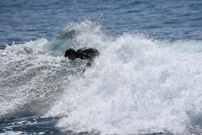 DSC_1387.JPG