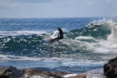 DSC_1390.JPG