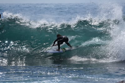 DSC_1400.JPG