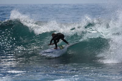 DSC_1401.JPG