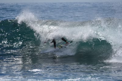 DSC_1402.JPG