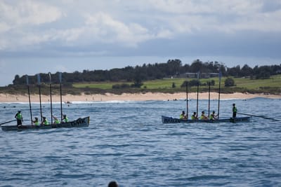 DSC_1429.JPG