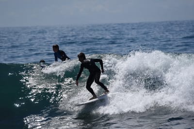 DSC_1440.JPG