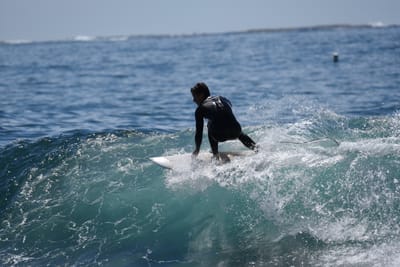 DSC_1455.JPG