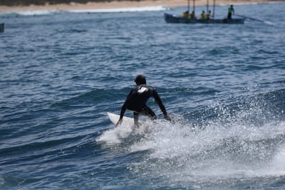 DSC_1463.JPG