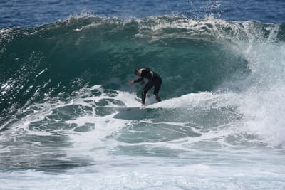 DSC_1490.JPG