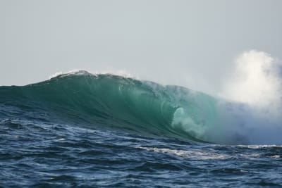 DSC_0218.JPG