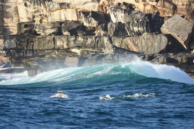 DSC_0224.JPG