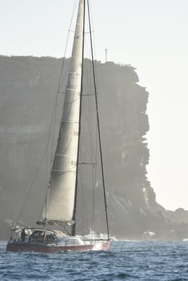 DSC_0231.JPG