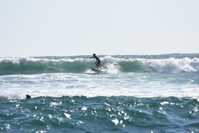 DSC_0241.JPG