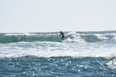DSC_0242.JPG