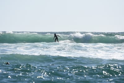 DSC_0243.JPG
