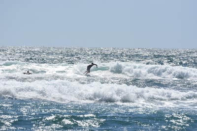 DSC_0267.JPG