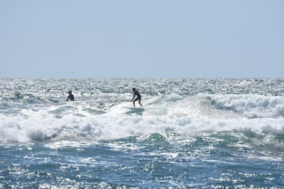 DSC_0291.JPG