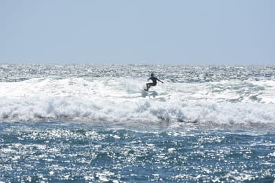 DSC_0293.JPG