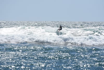 DSC_0294.JPG