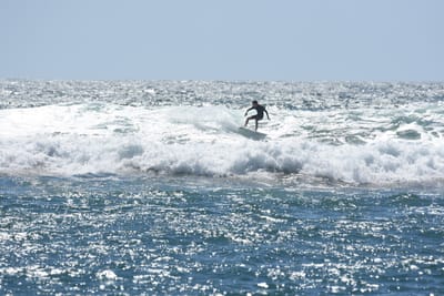 DSC_0295.JPG