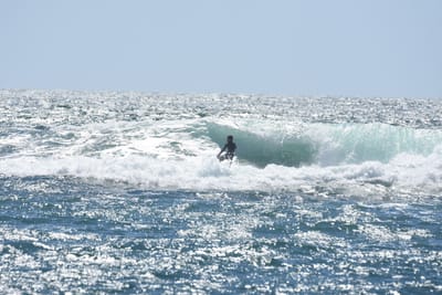 DSC_0297.JPG